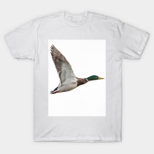 Mallard Duck T-Shirt